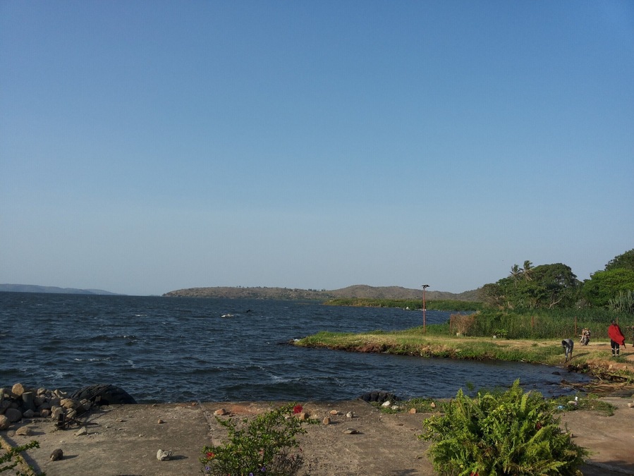 #Blue, the beauty of Kamanga ferry. You can get fresh fish here