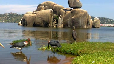 A large rock formation in a body of water with birds nearby.