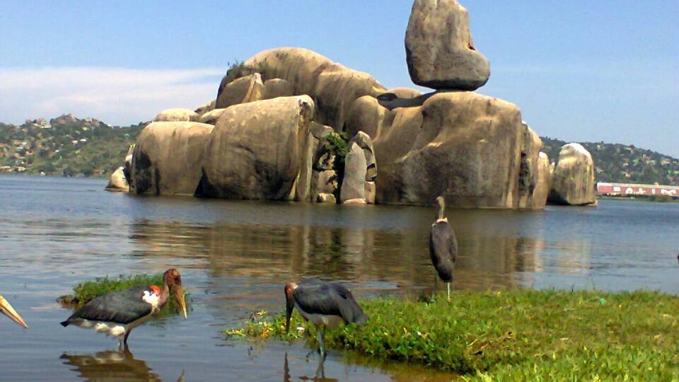 A large rock formation in a body of water with birds nearby.