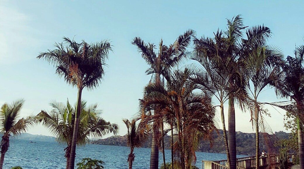 #Blue, this is an amazing place to visit, it is cool, good for picnics and an environment for reading story books.