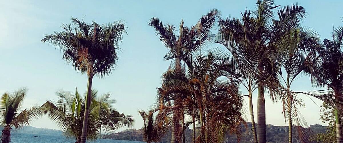 #Blue, this is an amazing place to visit, it is cool, good for picnics and an environment for reading story books.