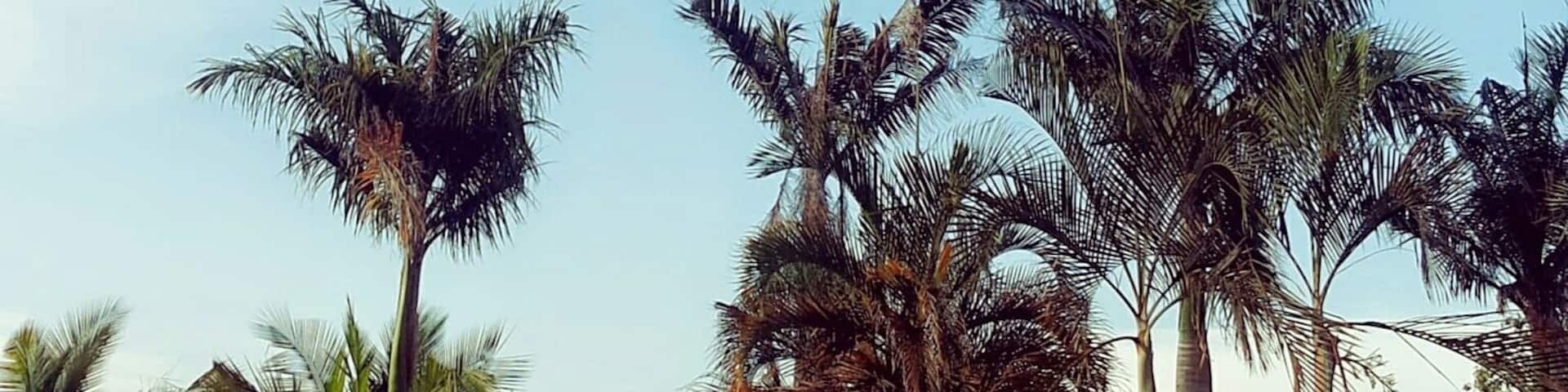 #Blue, this is an amazing place to visit, it is cool, good for picnics and an environment for reading story books.