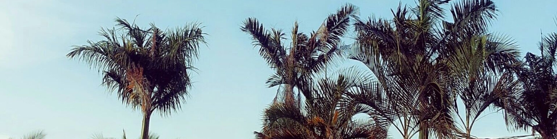 #Blue, this is an amazing place to visit, it is cool, good for picnics and an environment for reading story books.