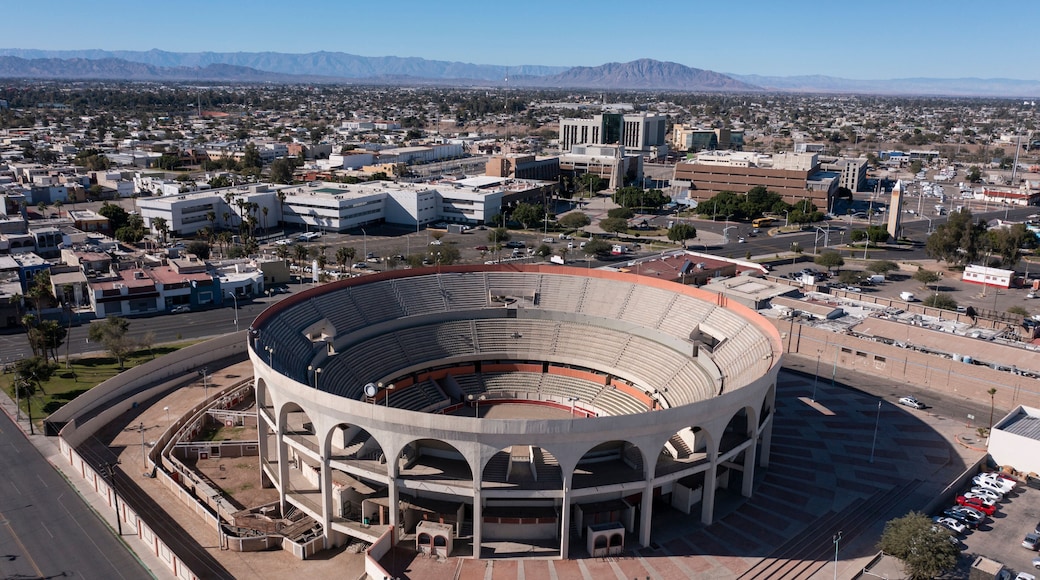 Mexicali, Baja California, Mexico - January 2, 2021: View of the downtown skyline in the urban core of Mexicali, Baja California, USA.