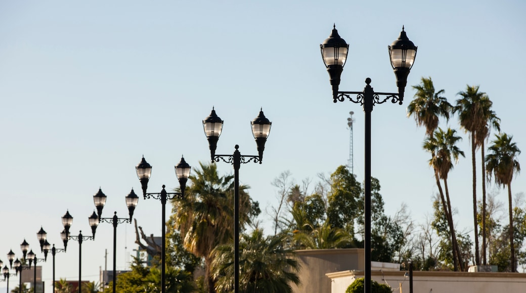 Mexicali