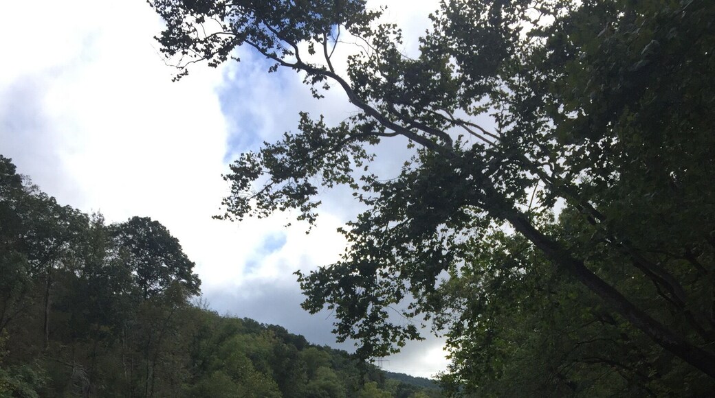 The Rivanna River runs through Charlottesville, Va.