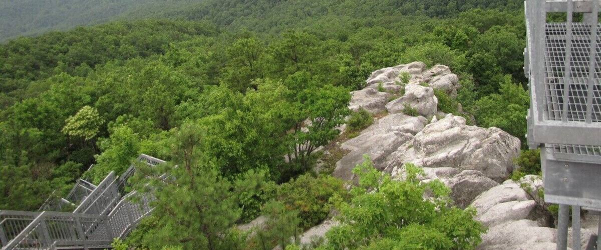 Breathtakingly beautiful! You feel like you're on top of the world. Be prepared for a long walk up the stairs!