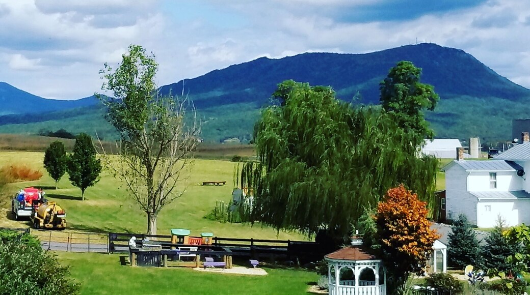 View from a lavender farm in VA.