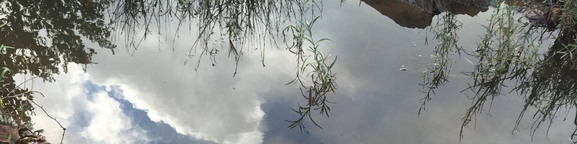 Perched on island in the river with some clouds reflecting off a pool in the rock