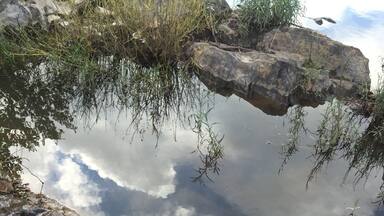 Perched on island in the river with some clouds reflecting off a pool in the rock