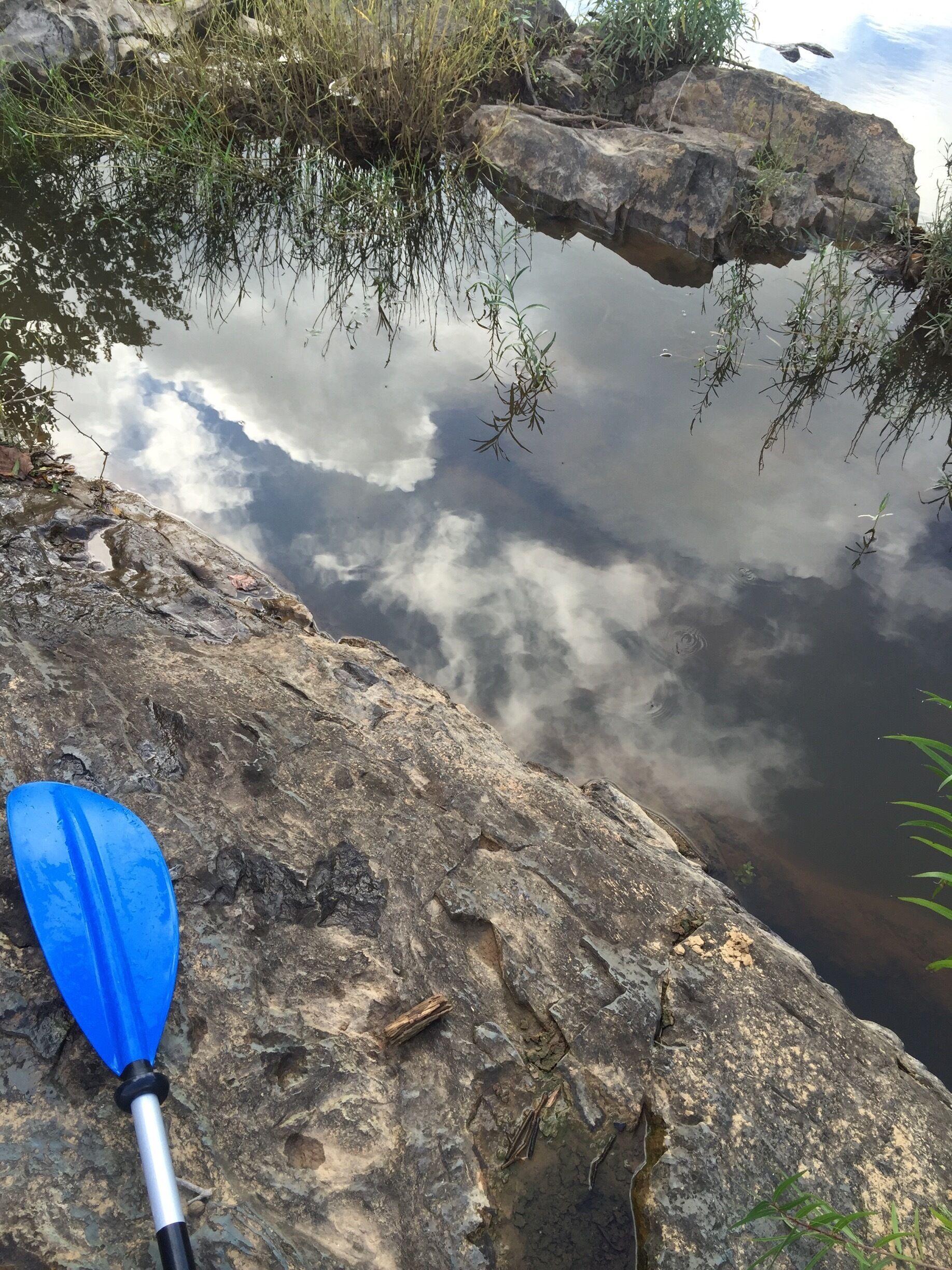 A rocky shoreline with a blue paddle, calm water reflecting clouds, and vegetation growing around.