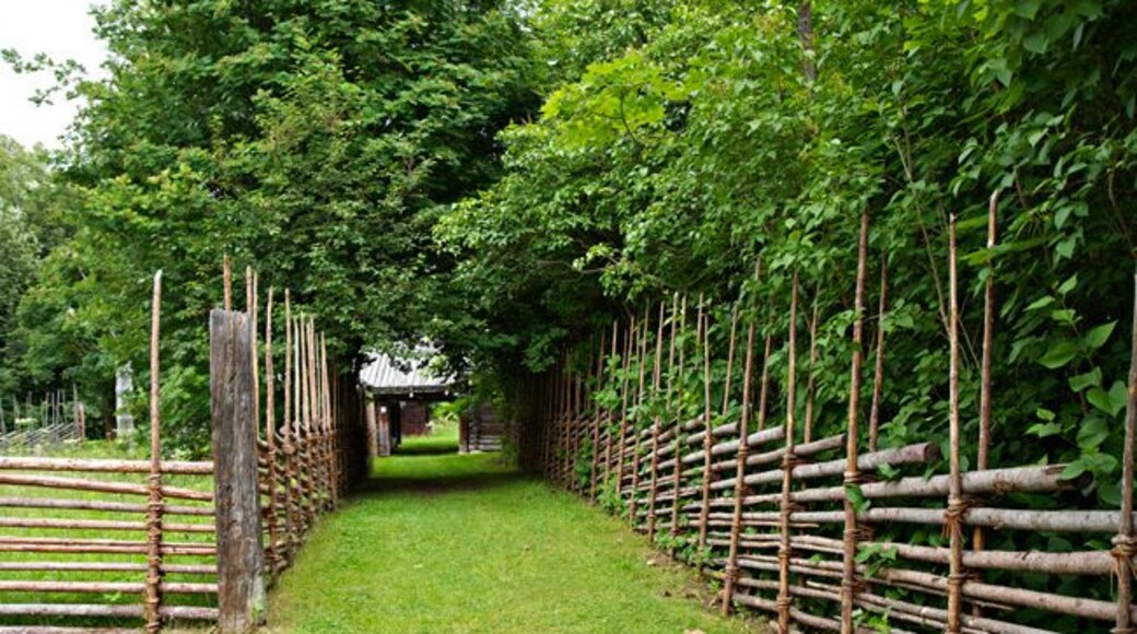 Open air museum of Anders Zorn, Mora.