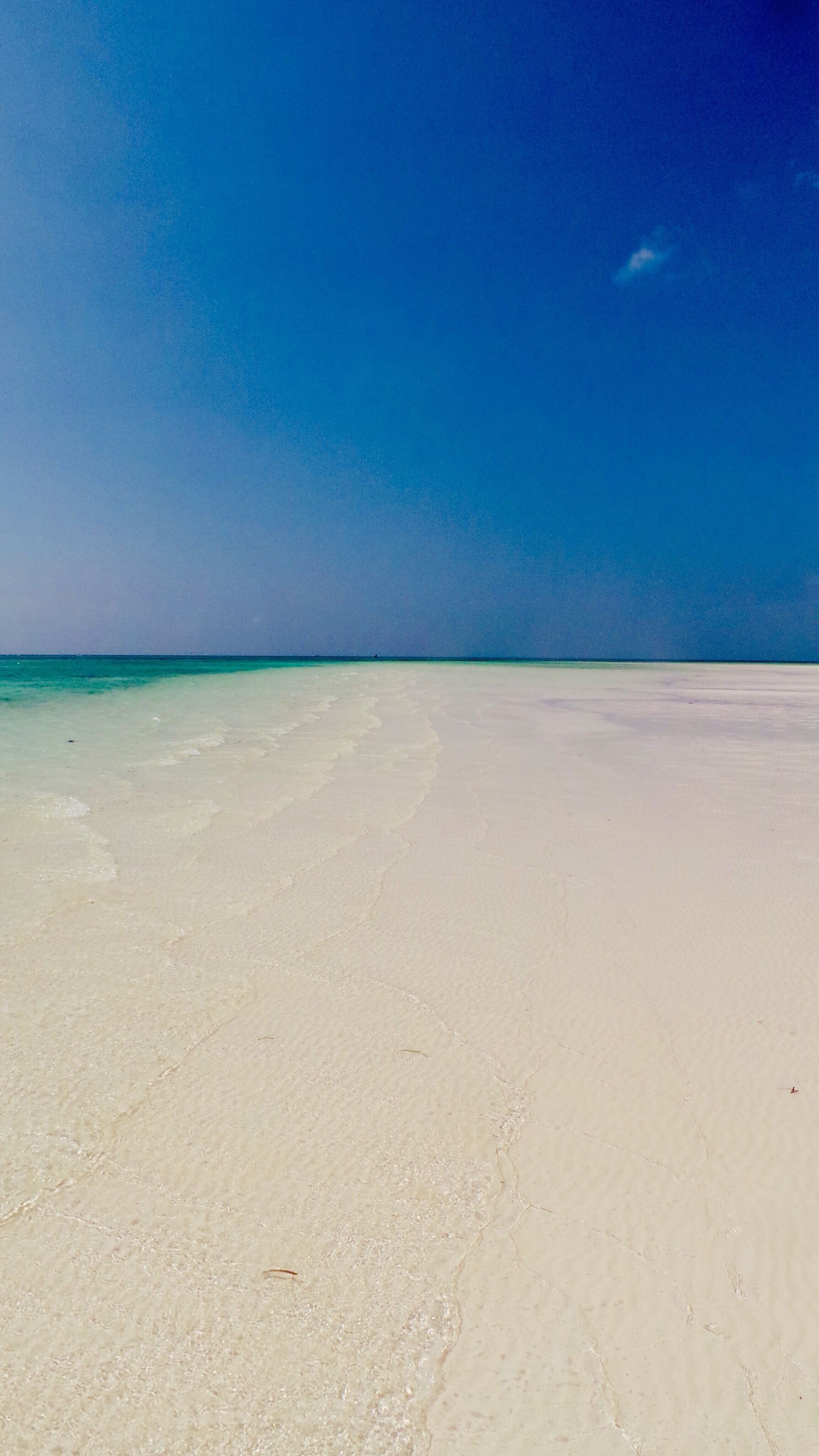 Jacaranda Beach
#kenya #ocean
