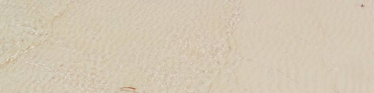 Jacaranda Beach
#kenya #ocean