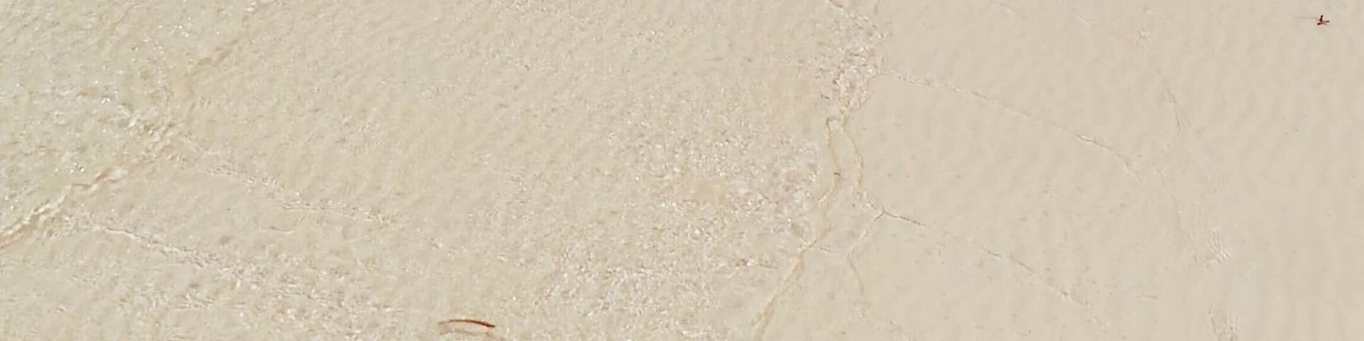 Jacaranda Beach
#kenya #ocean