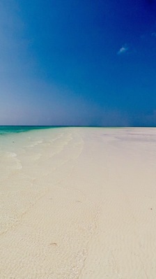 Jacaranda Beach
#kenya #ocean