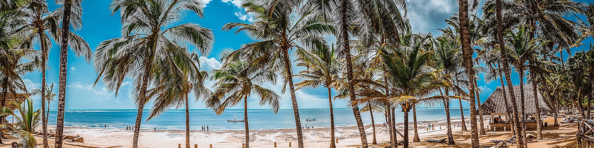 A beach with palm trees, lounge chairs, and the ocean.