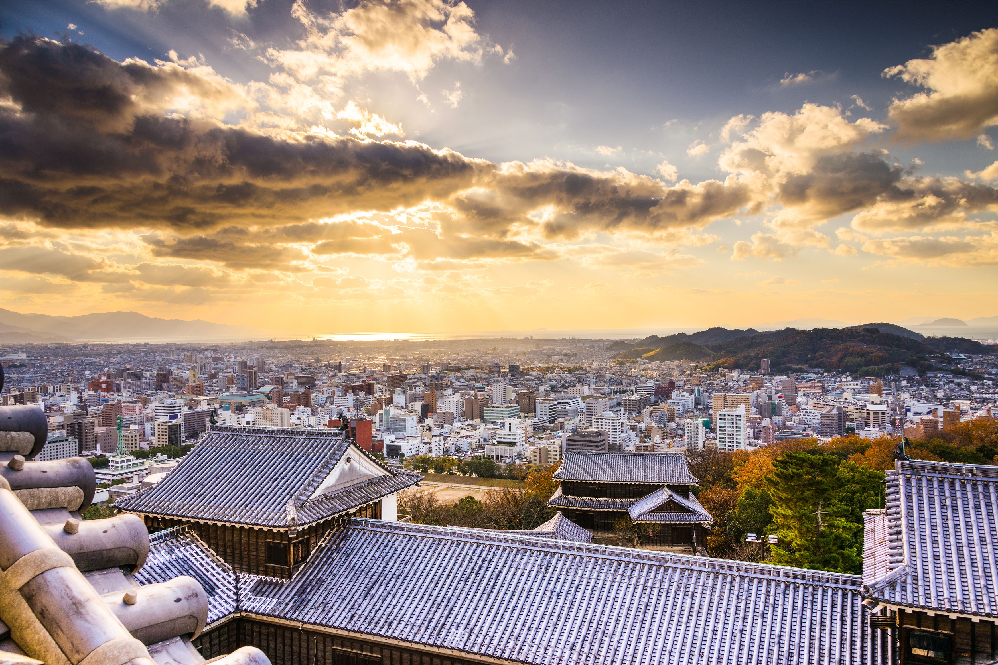 A cityscape with traditional Japanese architecture and a view of the city extending to the horizon under a cloudy sky.