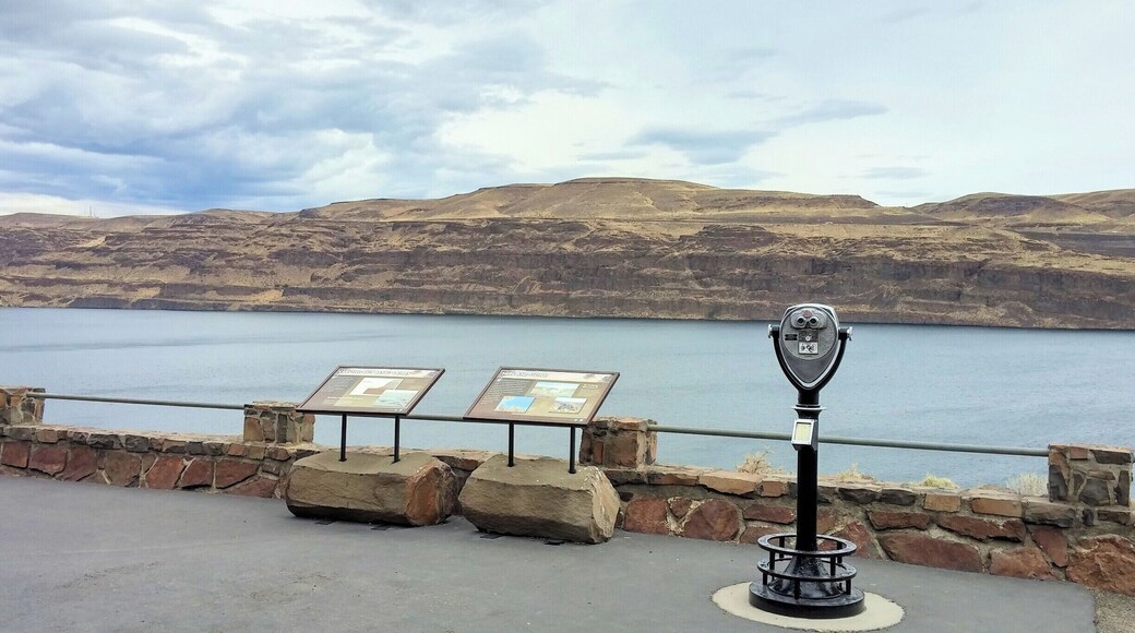 Gingko Petrified Forest is noted as being one of the "most unusual fossil forests in the world" and is a national natural landmark.
The Interpretive Center is full of information about the petrified woods discovered in the early 1930s, has living gingko trees and breathtaking views of the Columbia River.
#roadtrip #statepark #geology