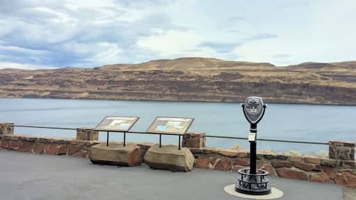 Gingko Petrified Forest is noted as being one of the "most unusual fossil forests in the world" and is a national natural landmark.
The Interpretive Center is full of information about the petrified woods discovered in the early 1930s, has living gingko trees and breathtaking views of the Columbia River.
#roadtrip #statepark #geology