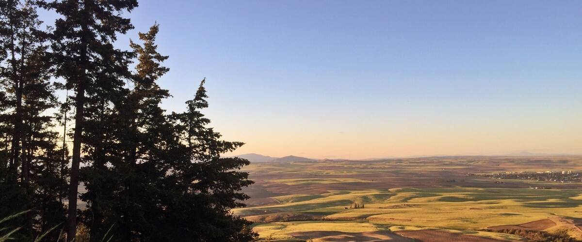 The sun was beginning to set and we hiked up to the top of Badger Mountain, near the ski lodge. You can catch glimpses of deer and as you get the very top, you'll get a breathtaking view of Waterville and the rolling wheat fields of Eastern Washington.