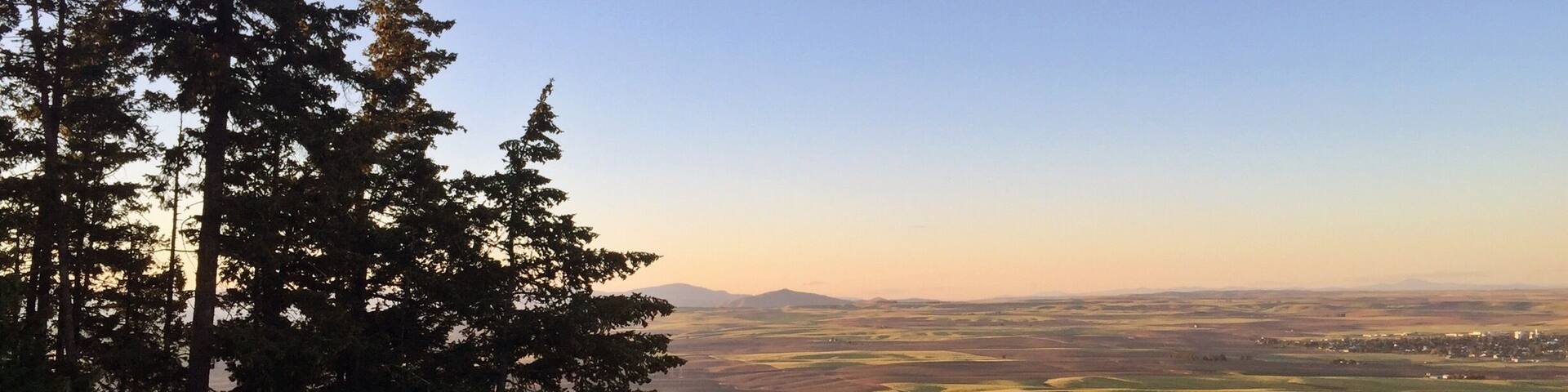 The sun was beginning to set and we hiked up to the top of Badger Mountain, near the ski lodge. You can catch glimpses of deer and as you get the very top, you'll get a breathtaking view of Waterville and the rolling wheat fields of Eastern Washington.