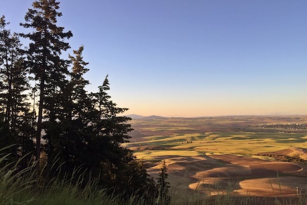 The sun was beginning to set and we hiked up to the top of Badger Mountain, near the ski lodge. You can catch glimpses of deer and as you get the very top, you'll get a breathtaking view of Waterville and the rolling wheat fields of Eastern Washington.