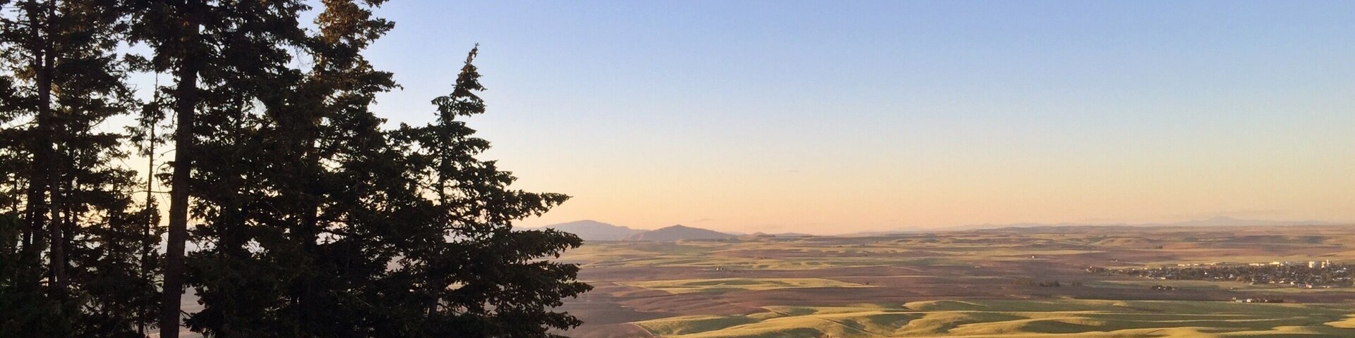 The sun was beginning to set and we hiked up to the top of Badger Mountain, near the ski lodge. You can catch glimpses of deer and as you get the very top, you'll get a breathtaking view of Waterville and the rolling wheat fields of Eastern Washington.