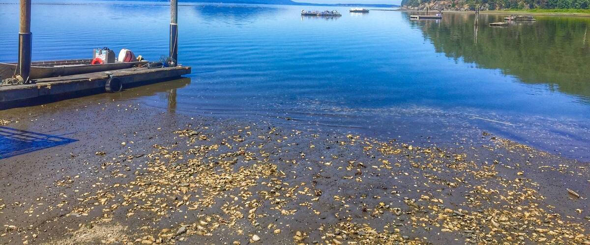 This cool shellfish farm just north of Seattle, WA is a great place to buy fresh oysters, especially after hiking to Oyster Dome. 
#AquaTrove