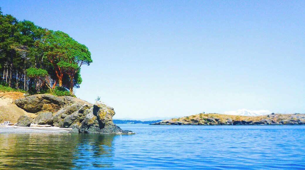 The island is accessible only by private boat. This beautiful Washington State Park, has mooring balls and tons of camping spots.
I imagine this is a great place to drop off some teens for a few days in the summer and collect them days later.
You can catch crab in the area pictured and there's a rope swing nearby along the south beach.
#lifeatexpedia #washingtonstateparks #boatlife