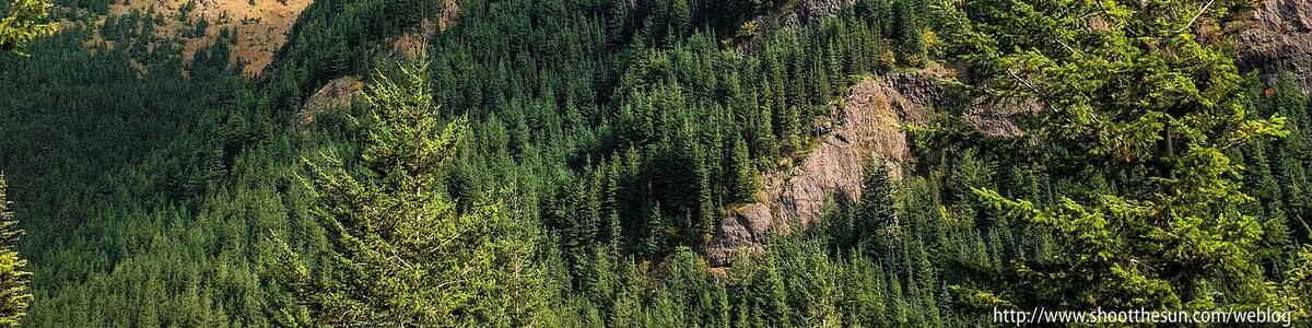 The northern slope of Iron Mountain along the Tubal Cain Mine trail.