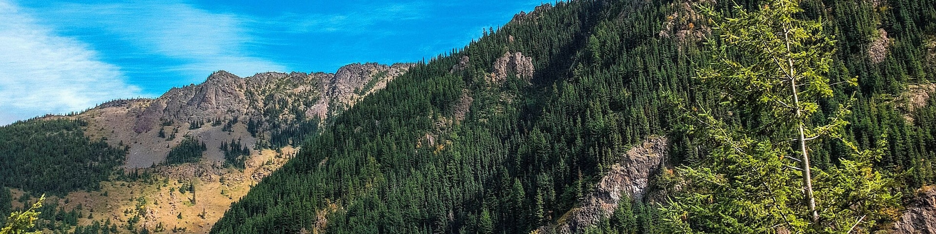 The northern slope of Iron Mountain along the Tubal Cain Mine trail.