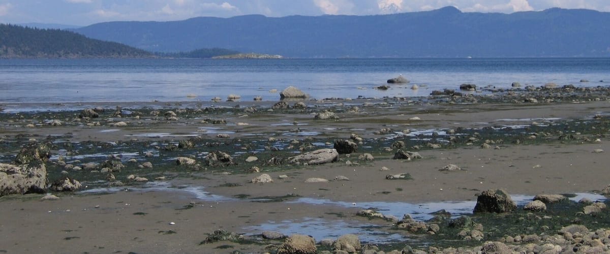 Remote Sinclair Island, part of the San Juan Island chain. It is only accessible by Private Boat or Plane. This is a shot looking North East with the tip of Lummi Island to the left. #LifeAtExpedia