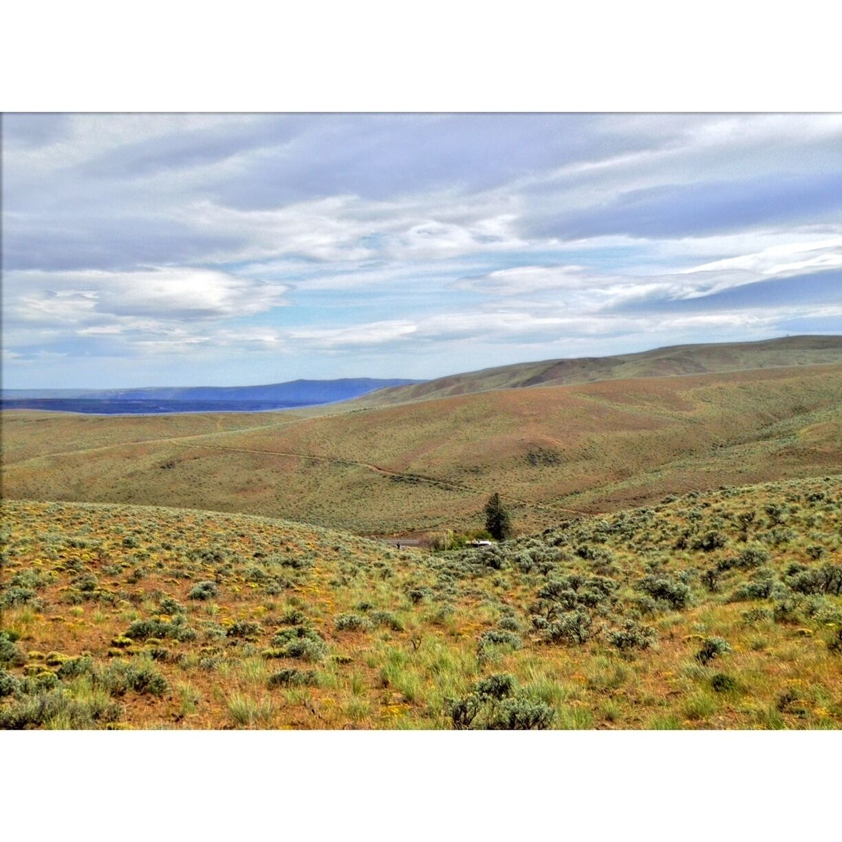 Just a short drive from Vantage, you will find the Ginkgo Petrified Forest. Several interpretive and hiking trails. There is also a visitor center with amazing (but windy) views of the river.