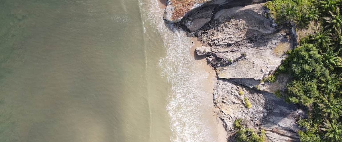 A coastal landscape with a rocky shoreline, waves, and dense greenery.