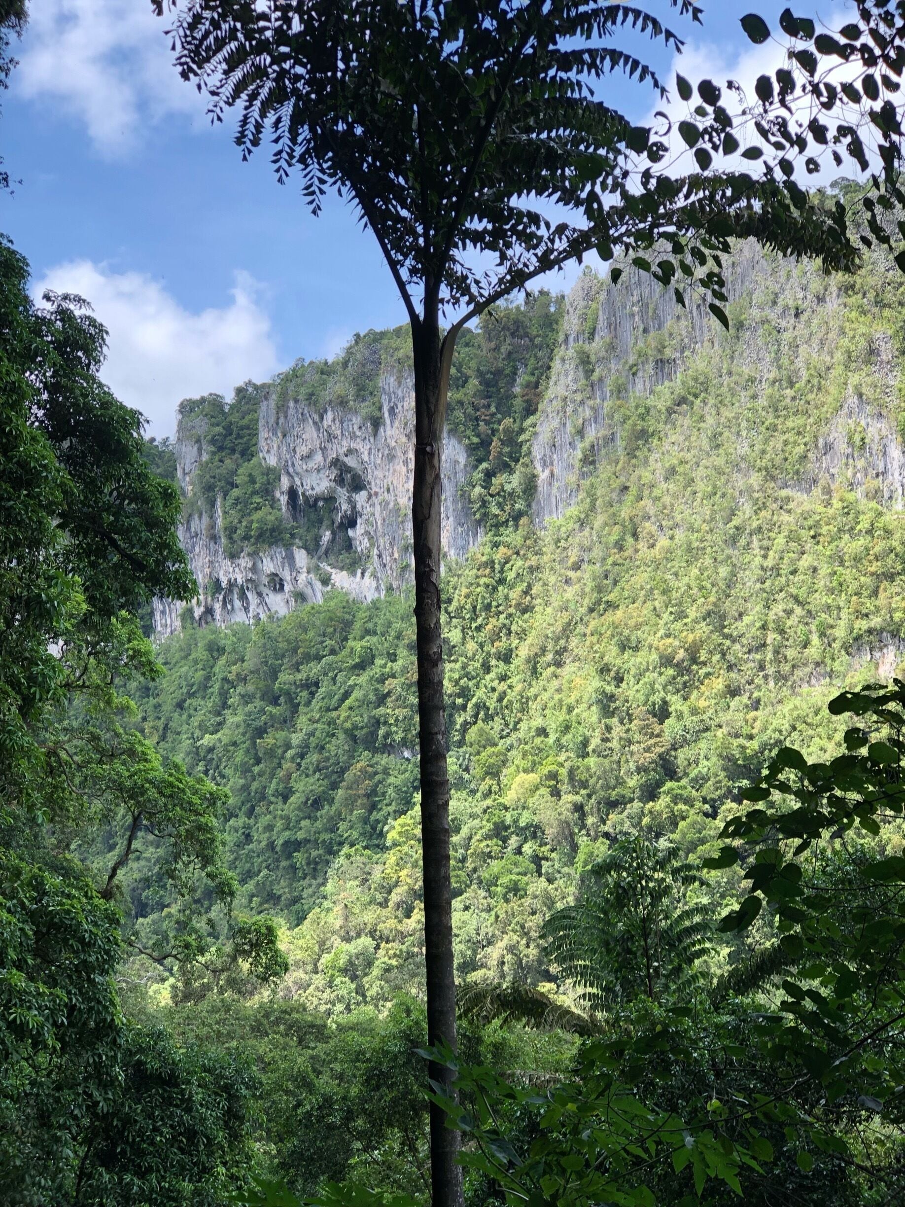 Nature wowed is in the Niah Caves and the views around it were awesome.