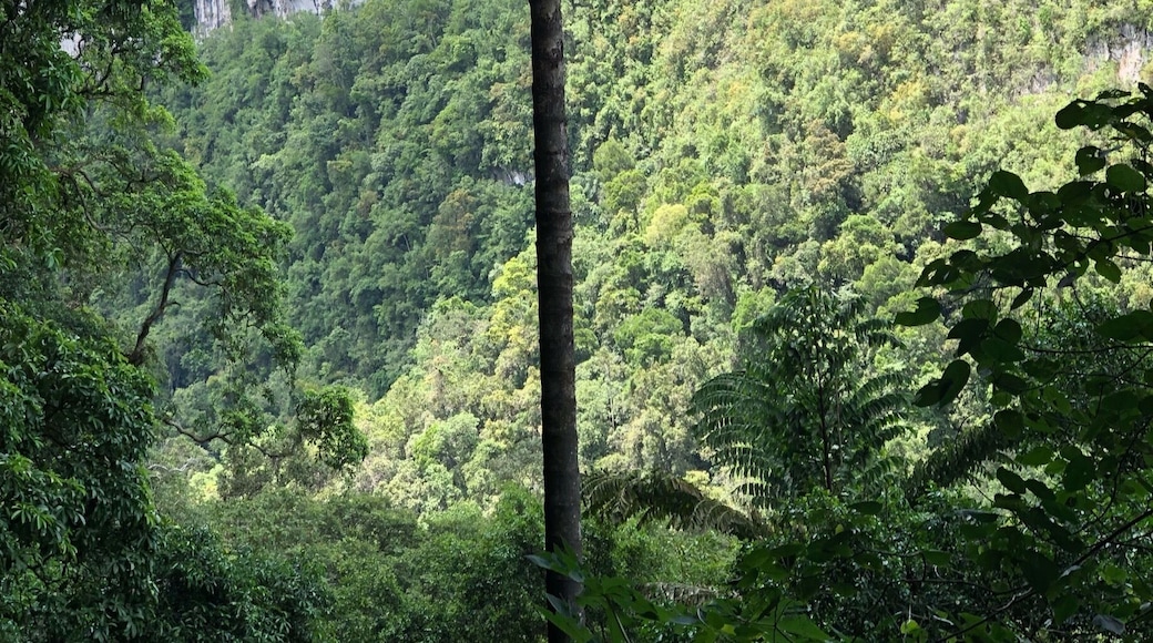 Nature wowed is in the Niah Caves and the views around it were awesome.