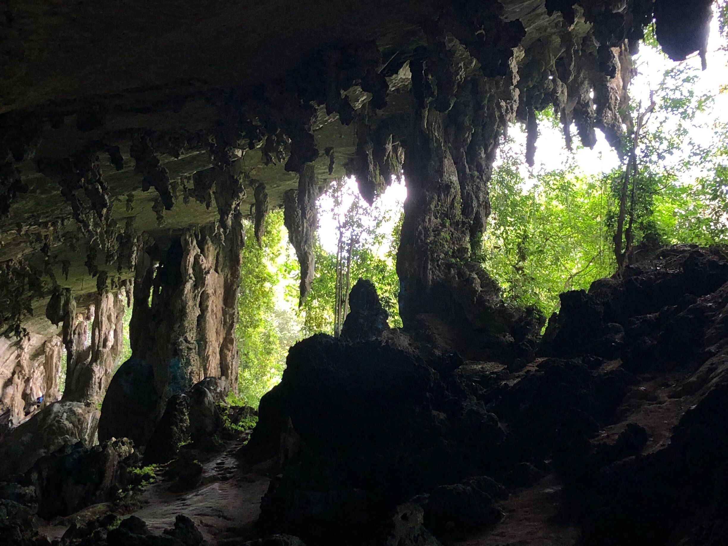Inside the first cave on the walk. 3km from the office.