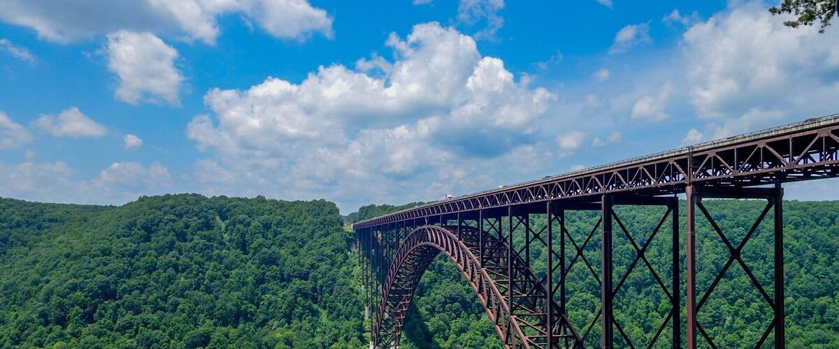 A steel bridge arching over a dense forest.