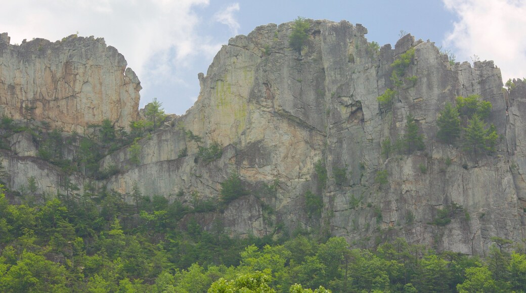 West Virginia which includes tranquil scenes and mountains