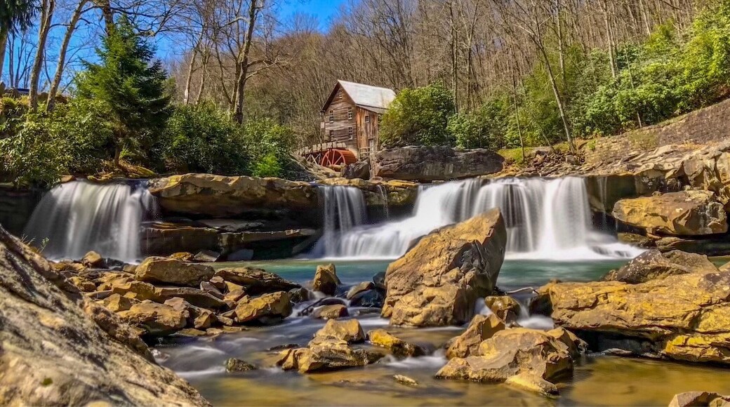 Hello Spring!
#Green