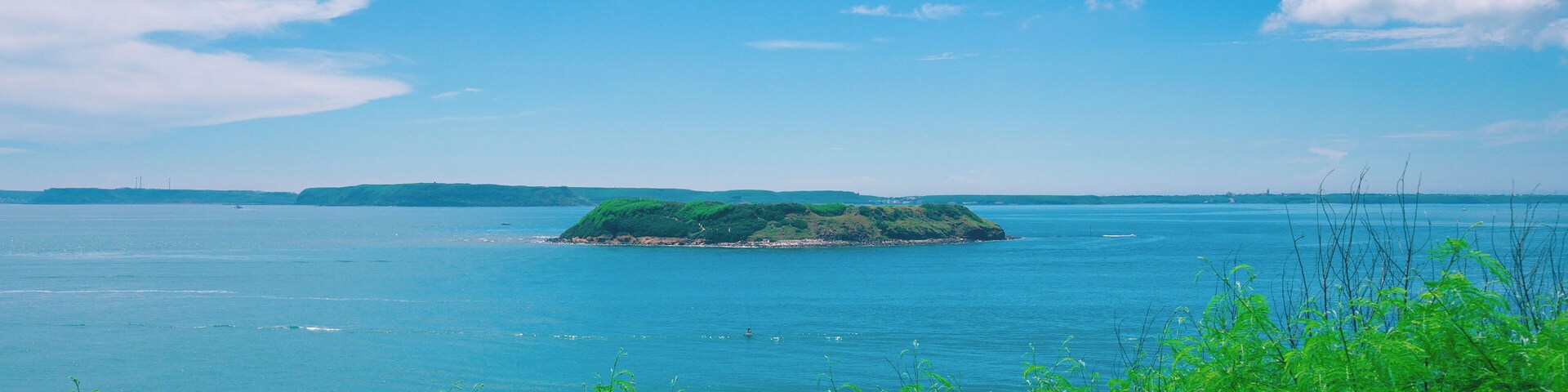 Un paisaje costero con una pequeña isla rodeada de agua azul cristalina y vegetación exuberante en primer plano.