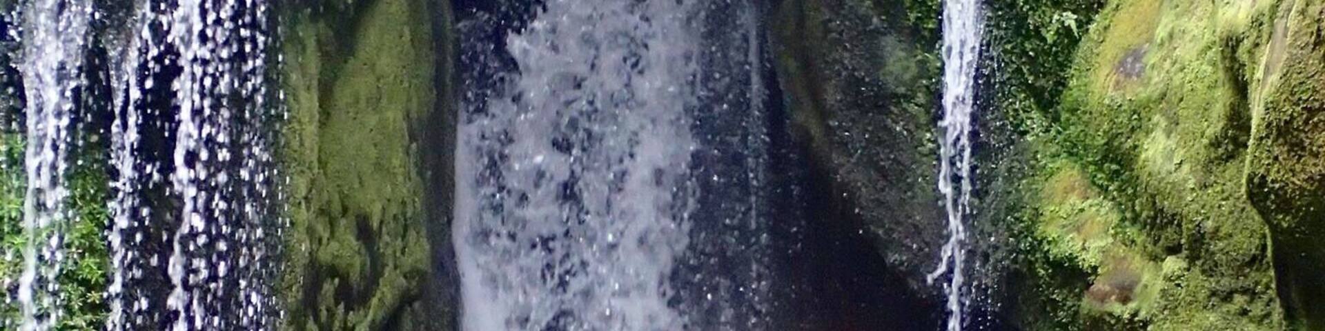 Cayoning in Able Tasman was awesome... However not for the faint of heart! Definitely scared me numerous time. Rappels and zip lines where awesome, slides were a little scary... But the jumps... OMG... So scary. I couldn't even do the second one (despite amazing and cute, lol, guides).