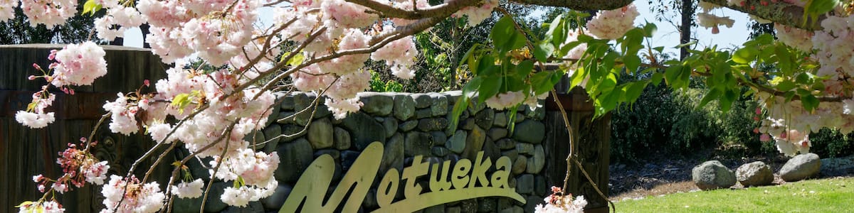 A stone sign with 'Motueka' written on it, surrounded by blooming cherry trees and a grassy area.