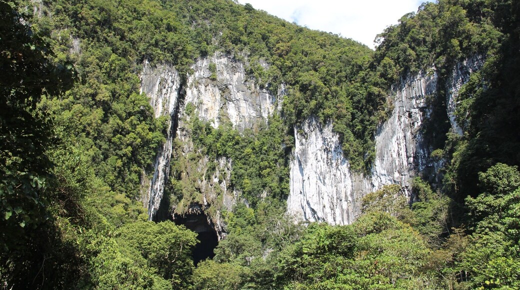 This is the entrance to Deer Cave where the millions of bats exodus each night.