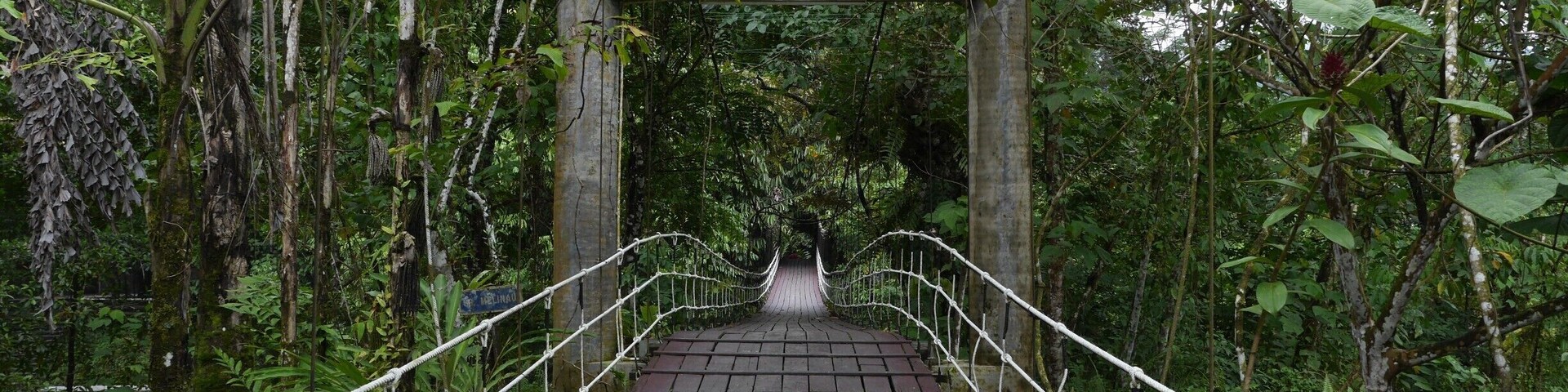This is the awesome rickety bridge that leads into the headquarters of Mulu #NationalPark. This cool bridge had motorbikes crawling across it several times a day!