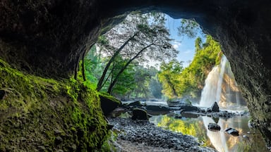 L'entrée d'une grotte, avec une cascade et une zone boisée.