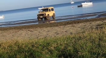 Jeeps driving into the ocean, no big deal. Not sure why they do it though.