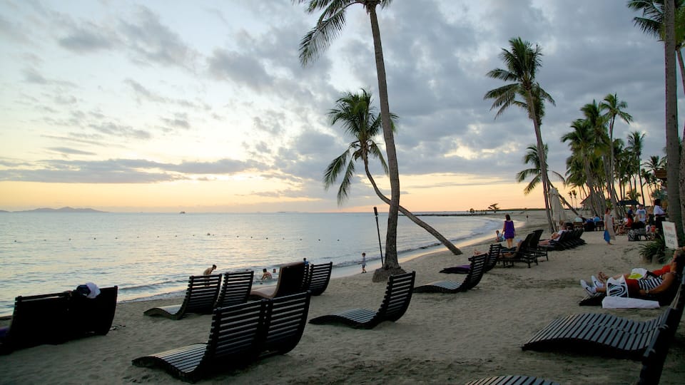 A beach with palm trees, lounge chairs, and people relaxing.