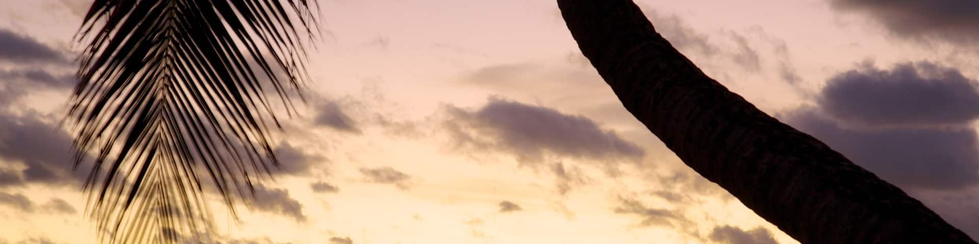 Nadi which includes a sunset, general coastal views and tropical scenes